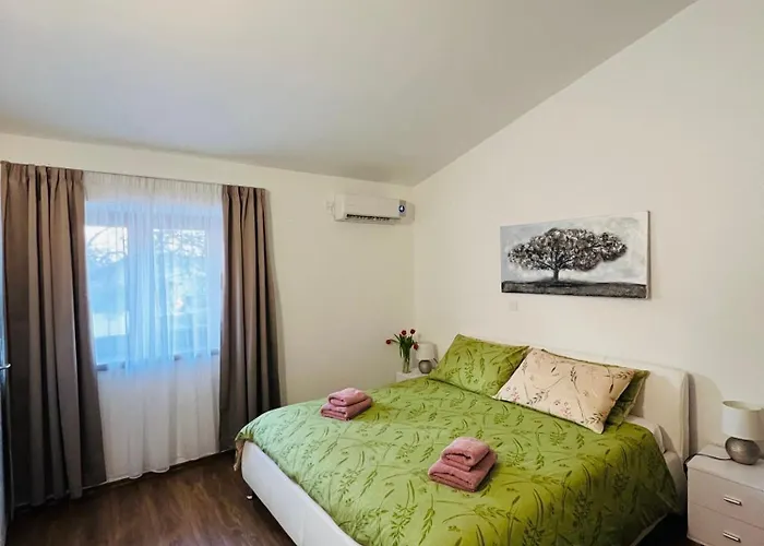 Funcic 1 App 게스트하우스 풀라