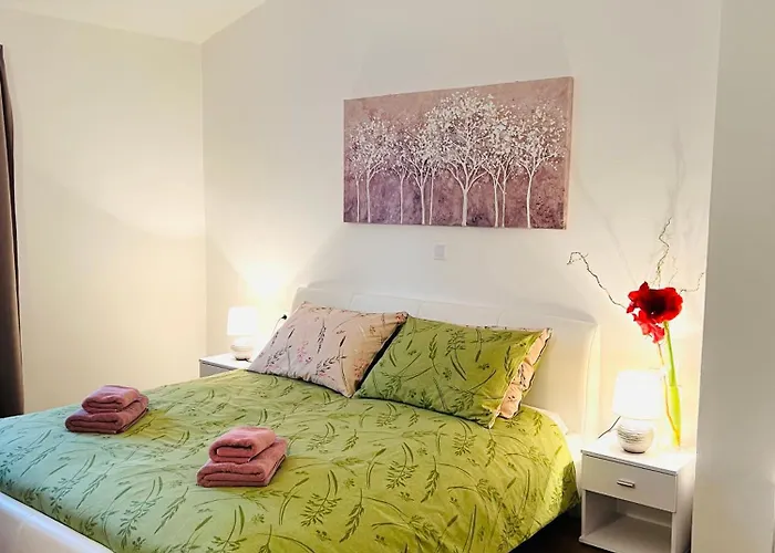 Funcic 1 App 게스트하우스 풀라